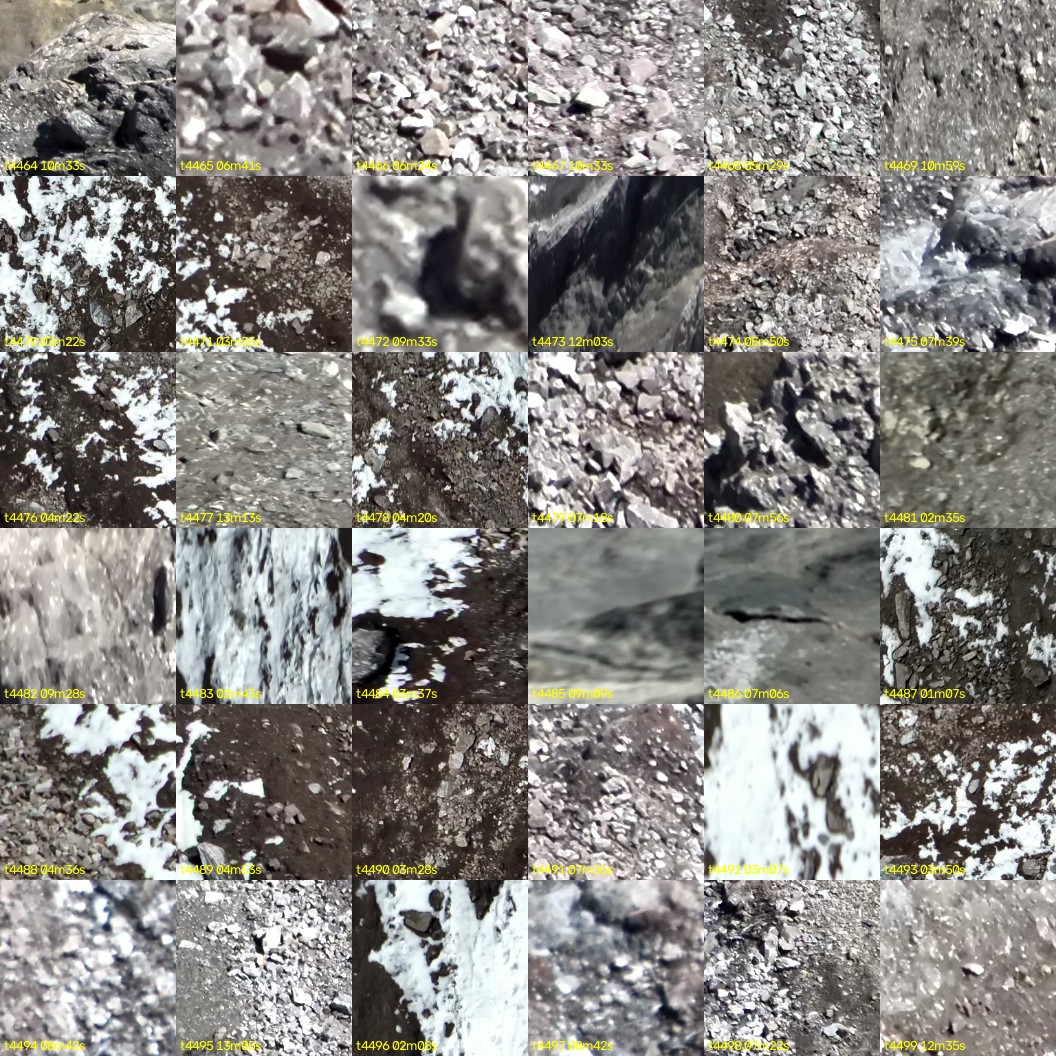 montage_124.jpg