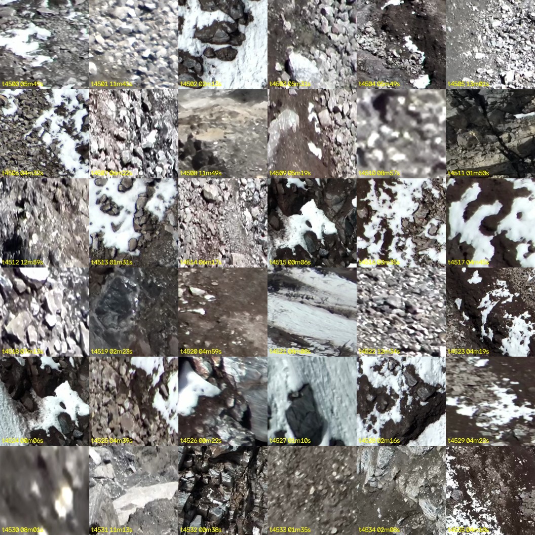 montage_125.jpg