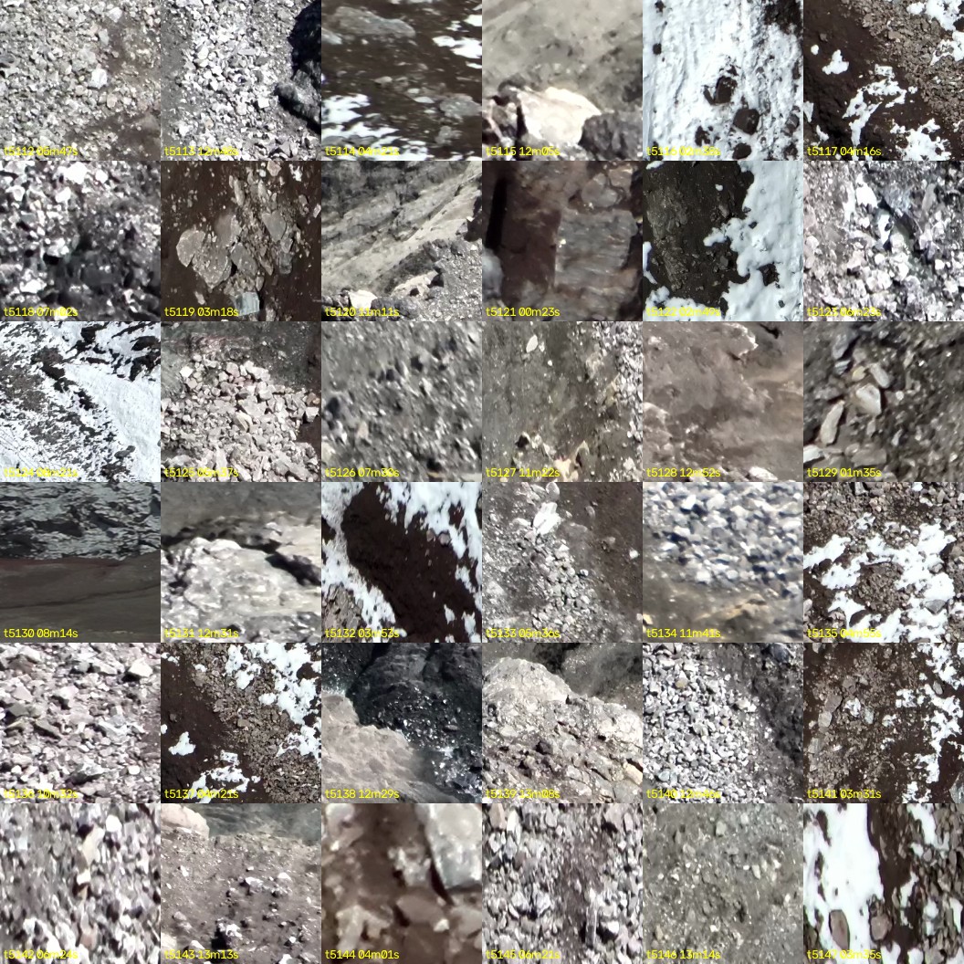montage_142.jpg