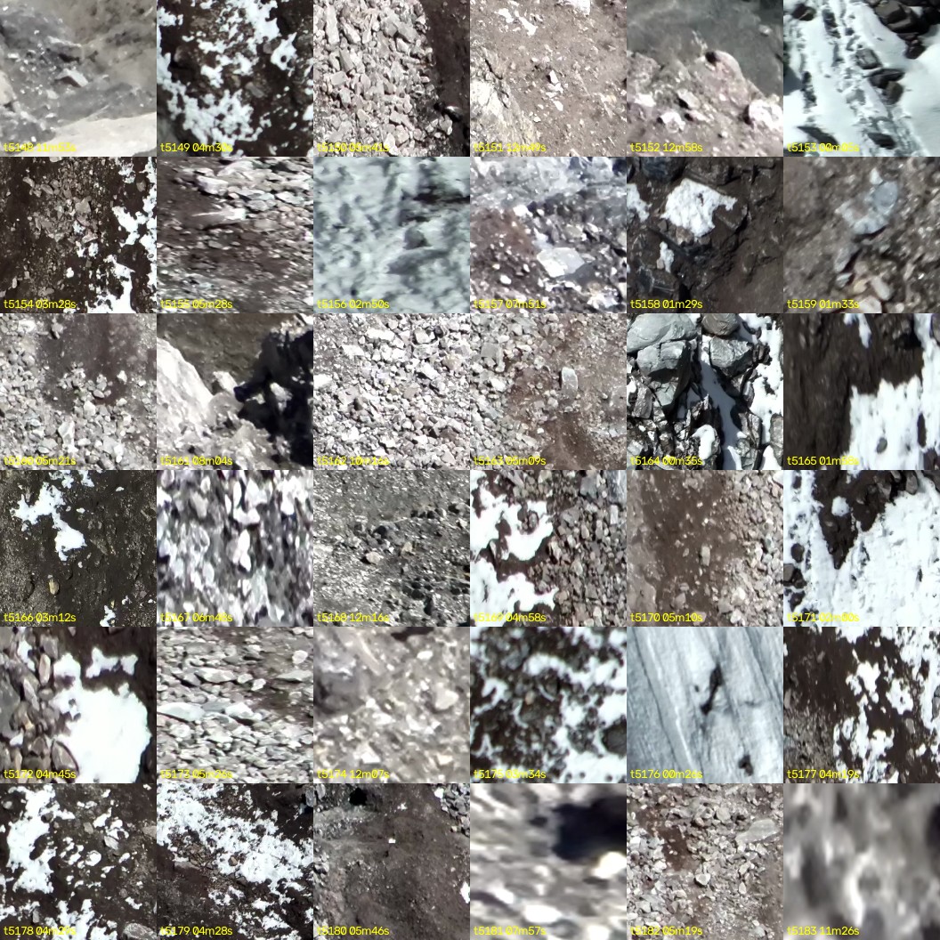 montage_143.jpg