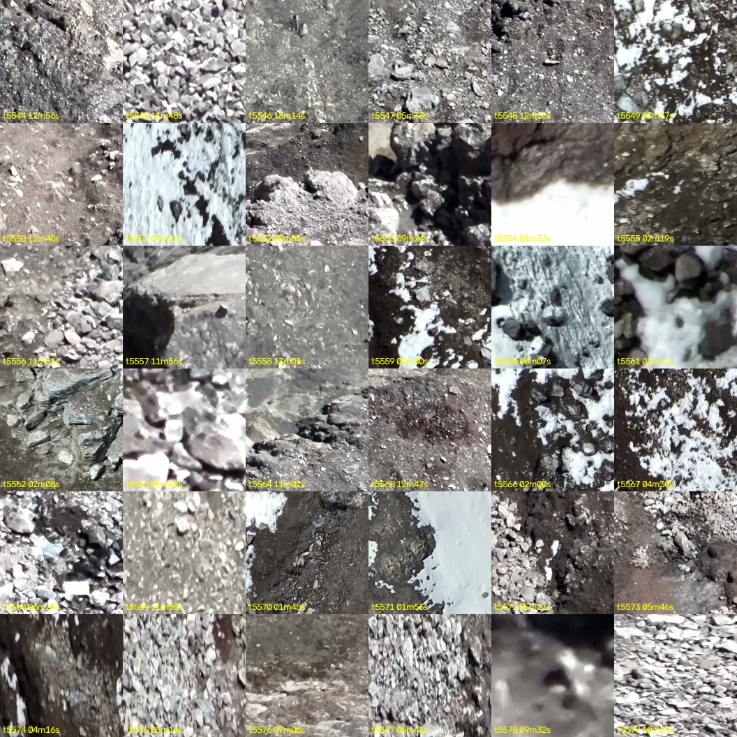 montage_154.jpg