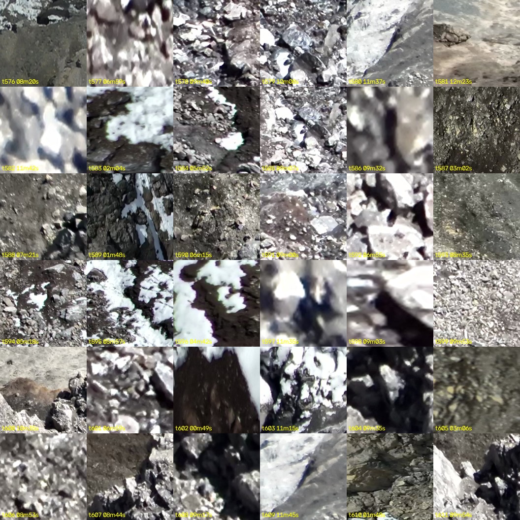 montage_16.jpg