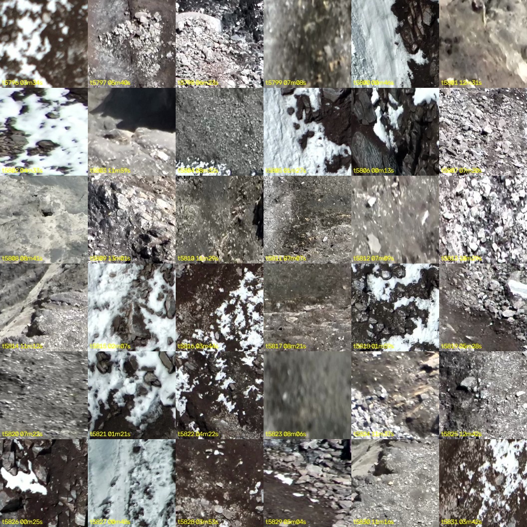 montage_161.jpg