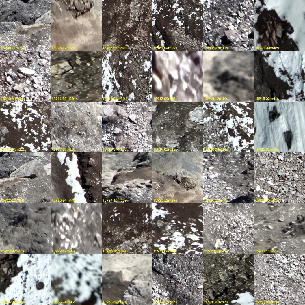montage_164.jpg