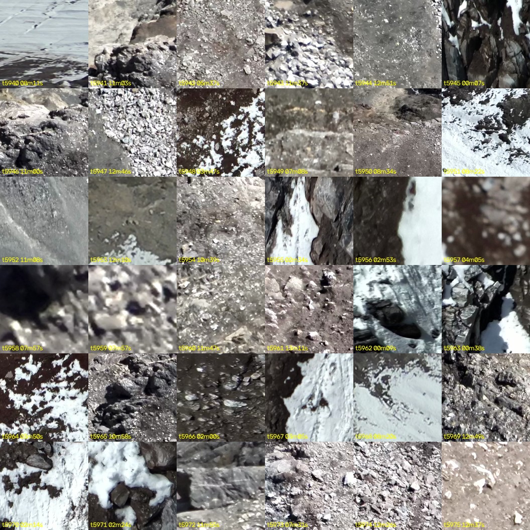 montage_165.jpg