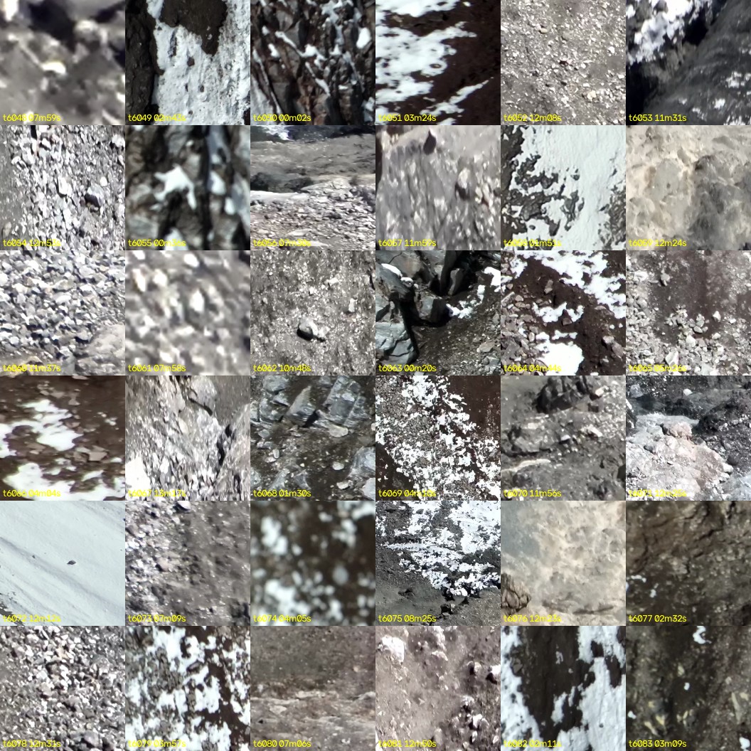 montage_168.jpg