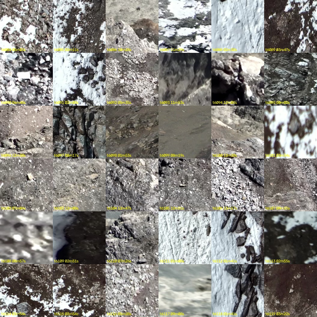 montage_169.jpg