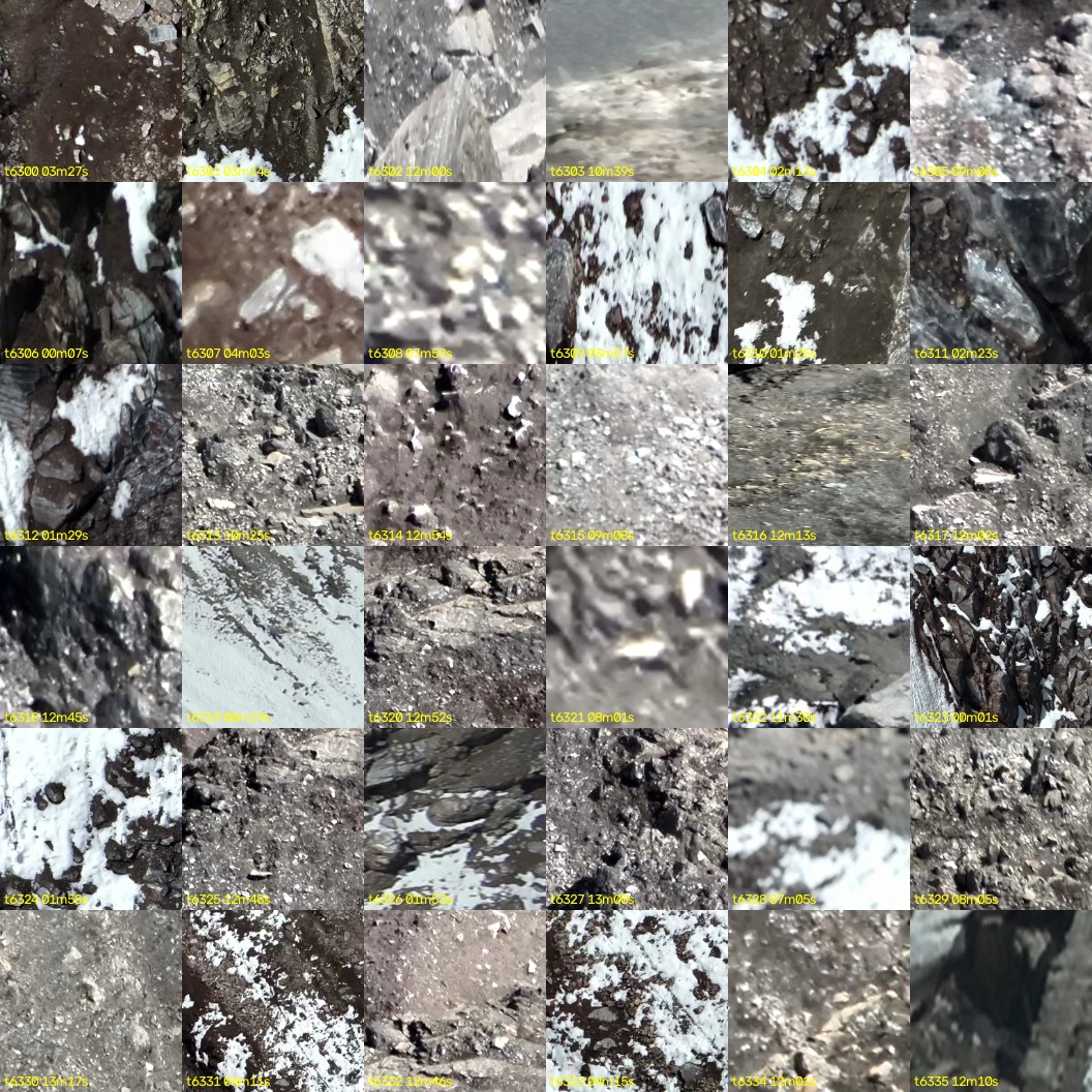 montage_175.jpg