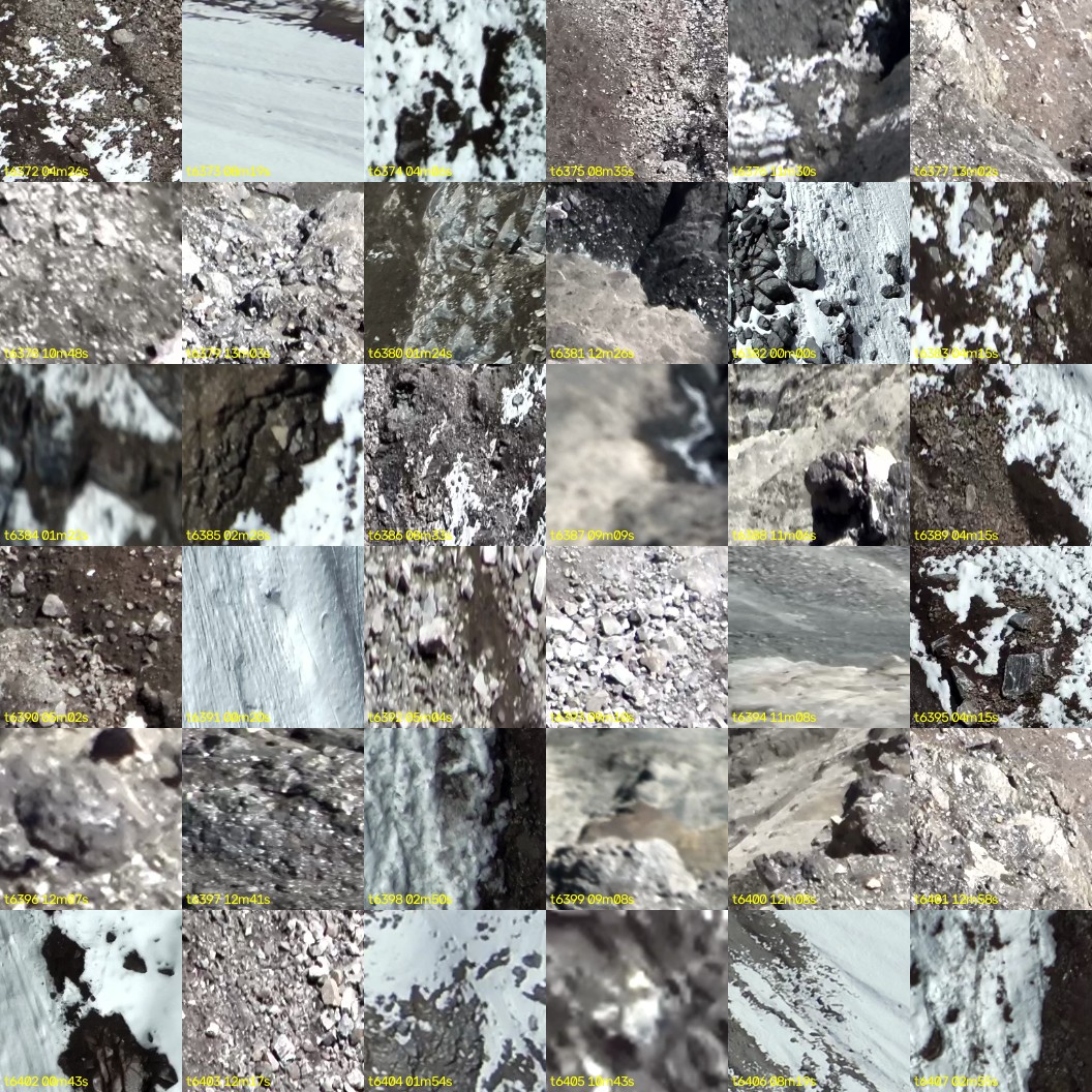 montage_177.jpg