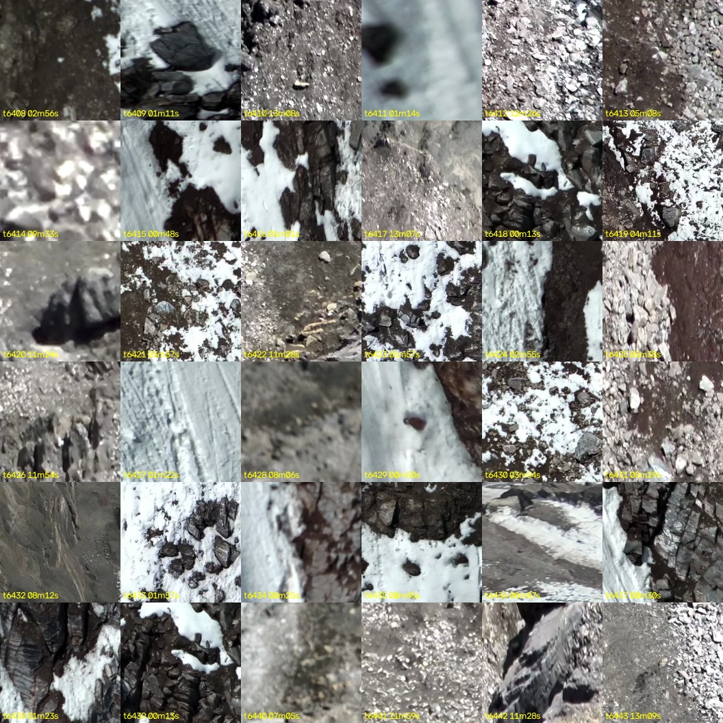 montage_178.jpg