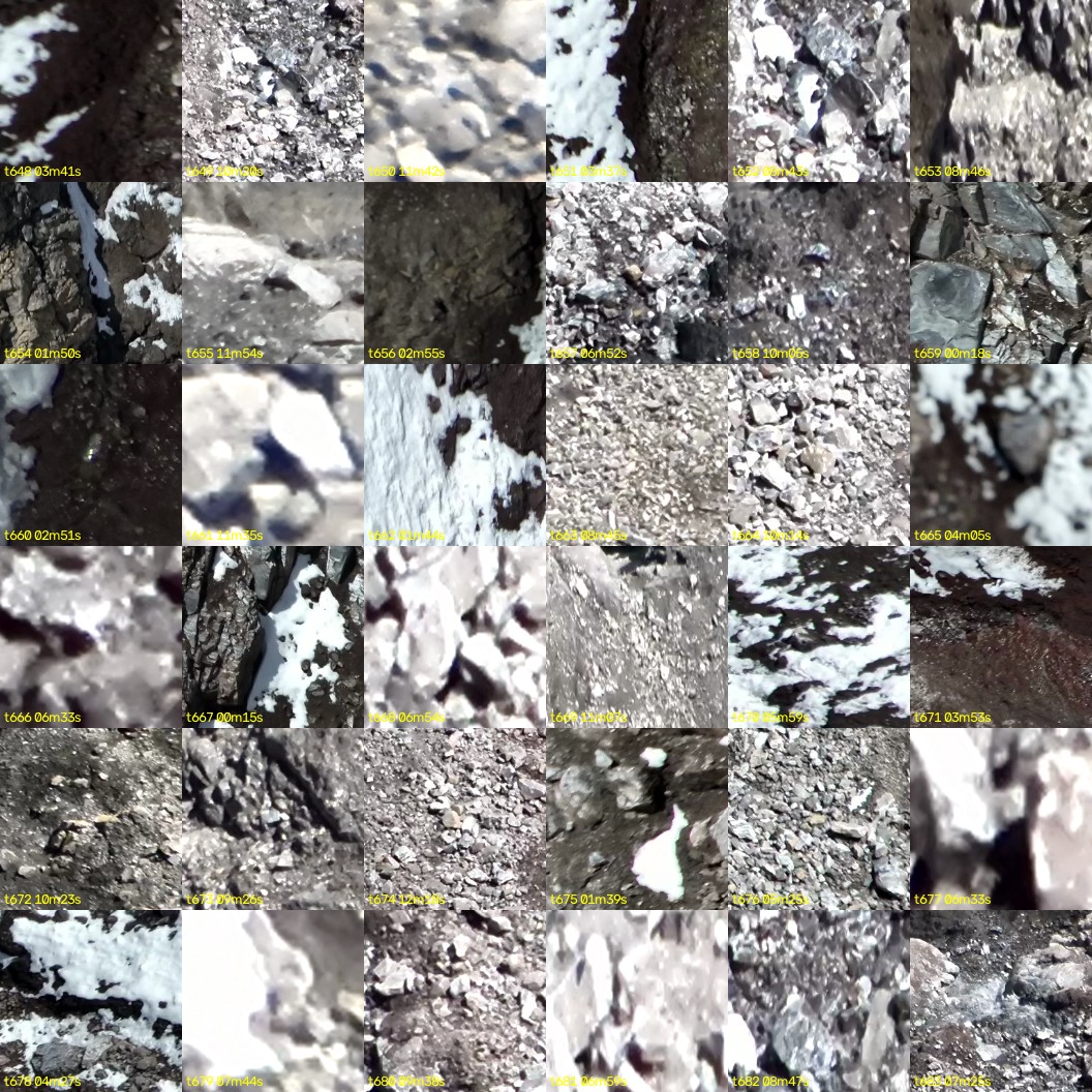 montage_18.jpg