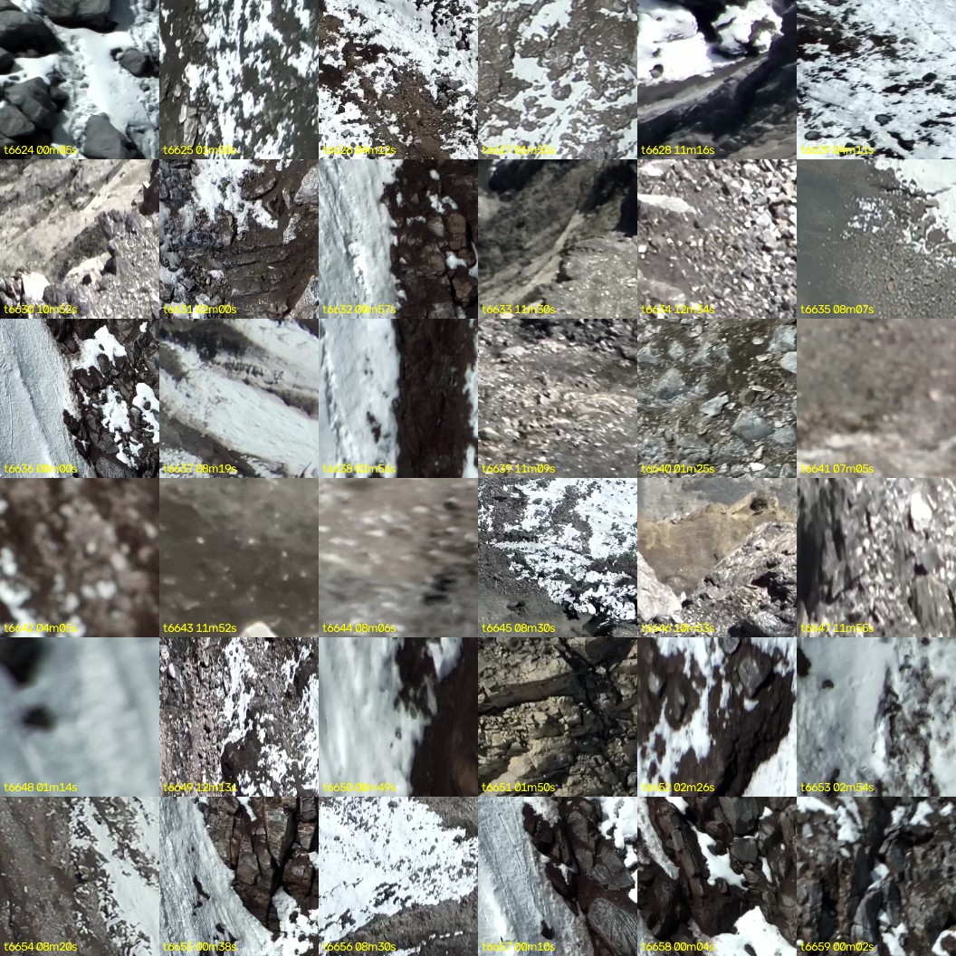 montage_184.jpg