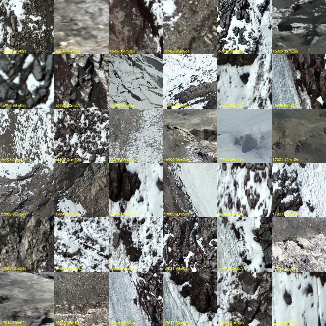 montage_194.jpg