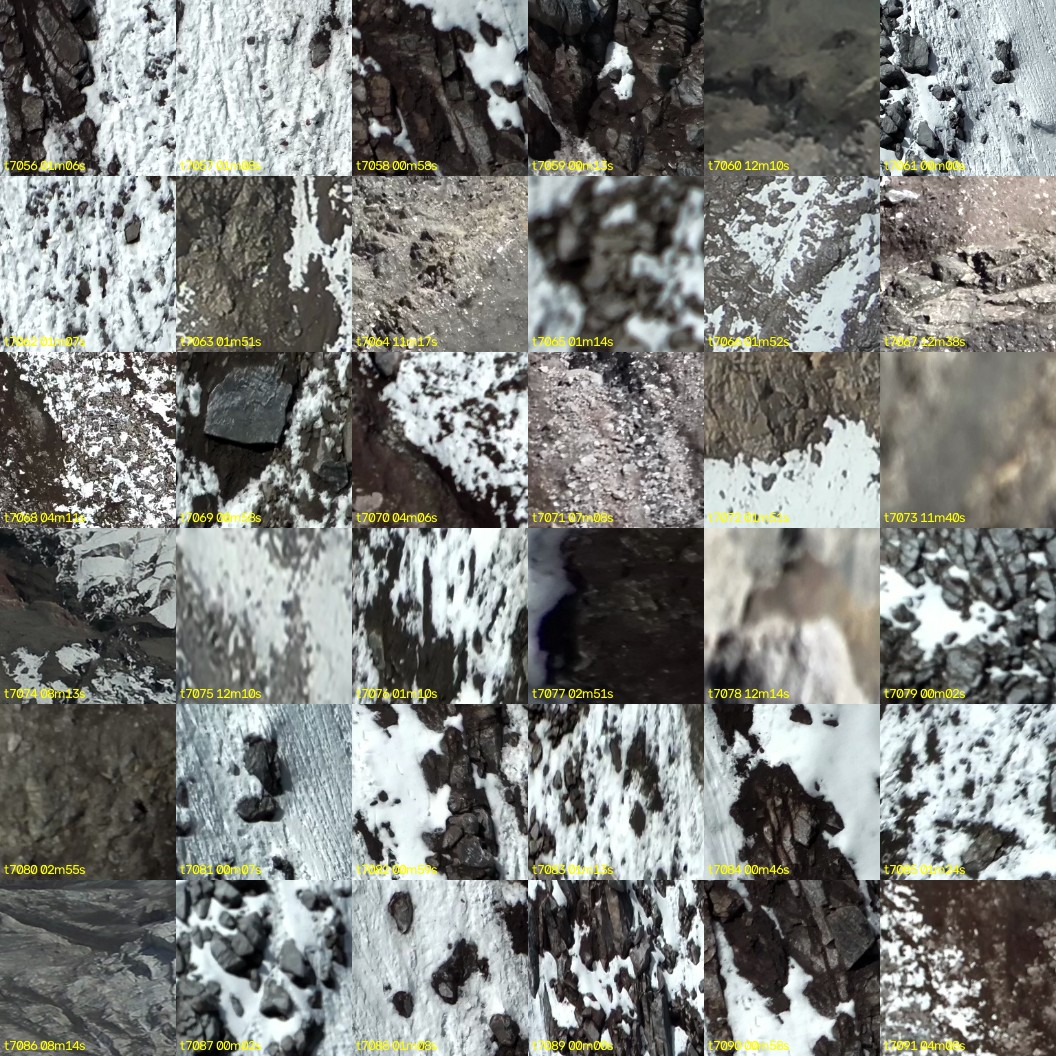 montage_196.jpg