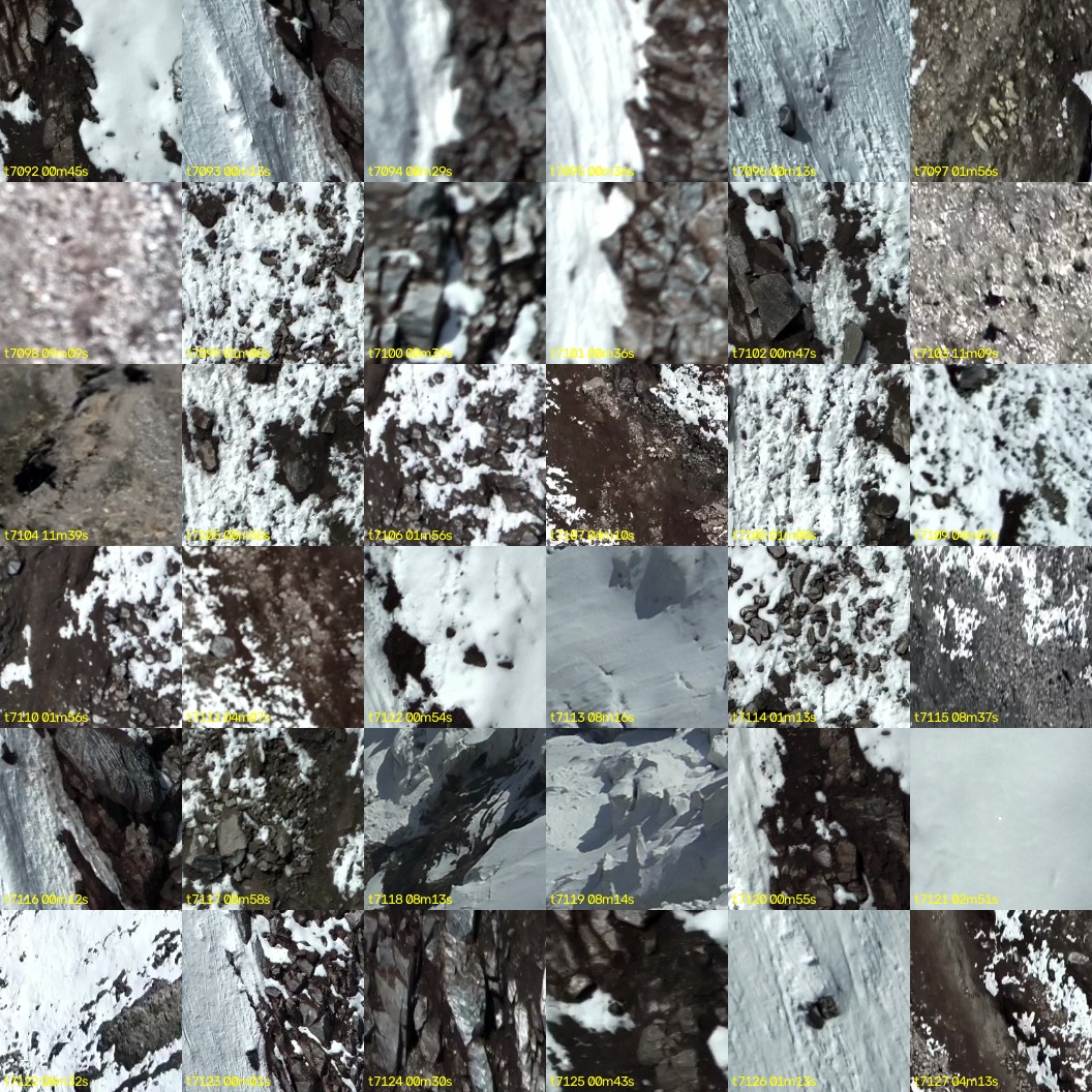 montage_197.jpg