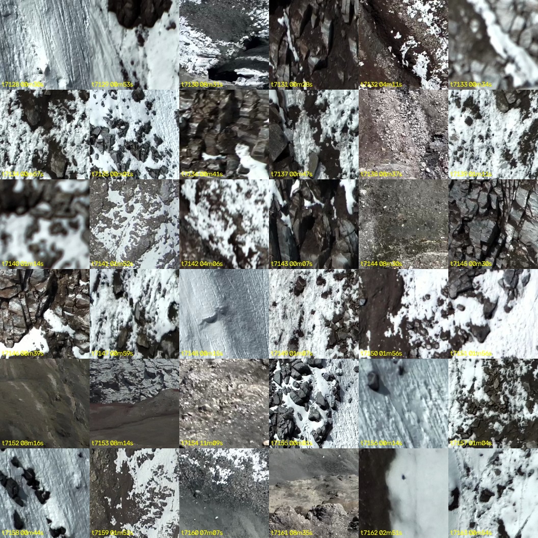 montage_198.jpg