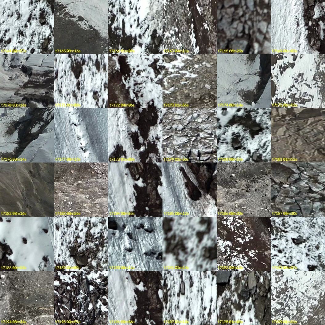 montage_199.jpg