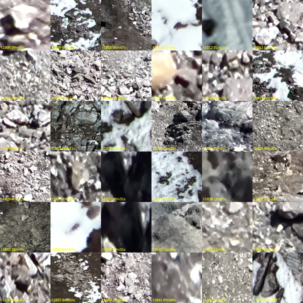 montage_28.jpg