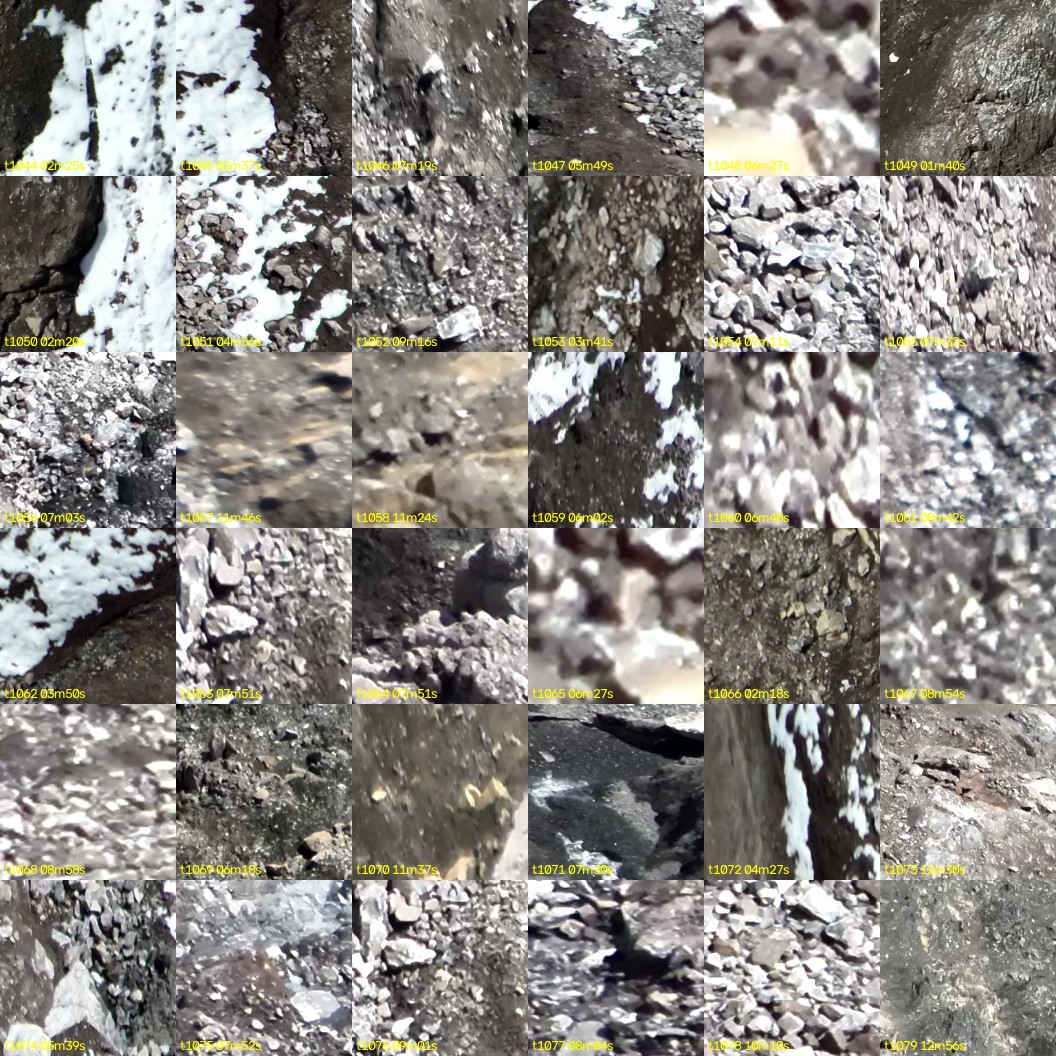 montage_29.jpg
