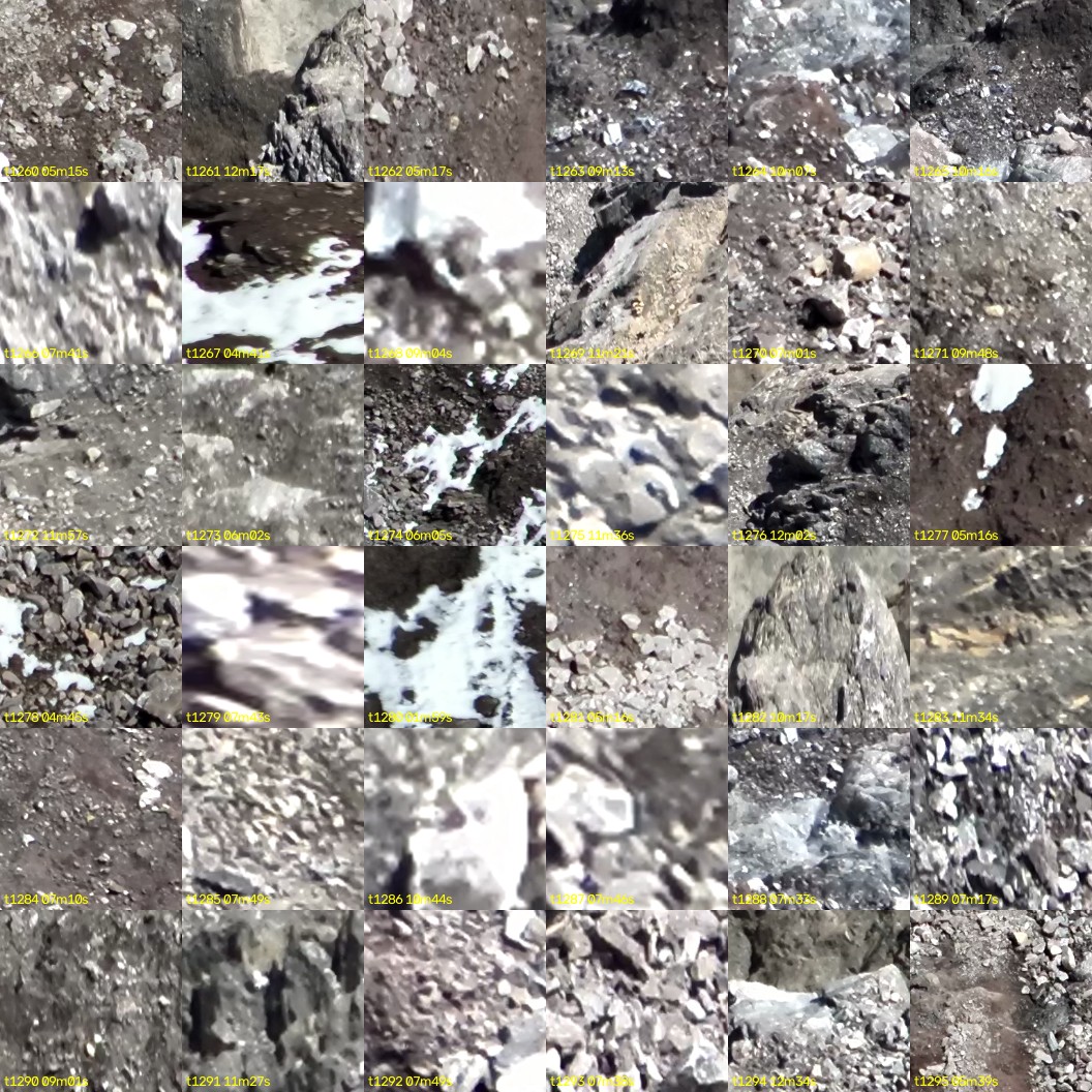 montage_35.jpg