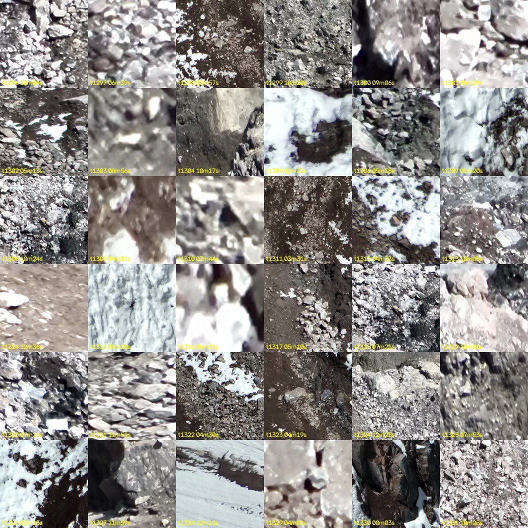 montage_36.jpg