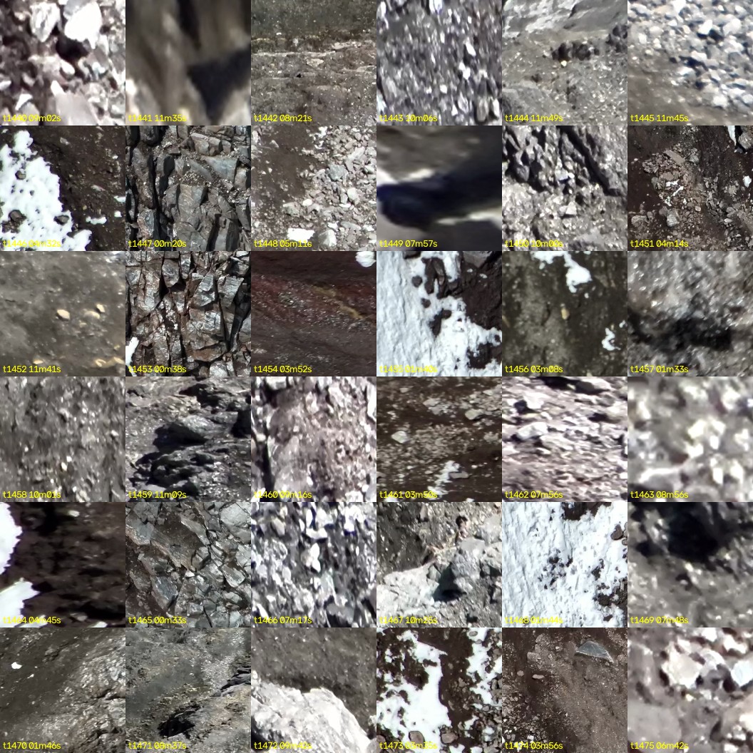 montage_40.jpg