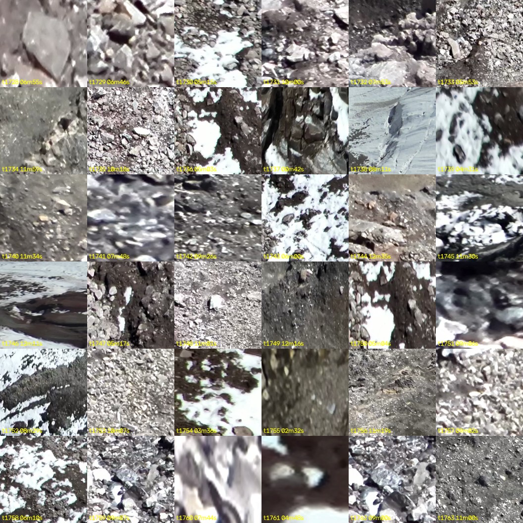 montage_48.jpg