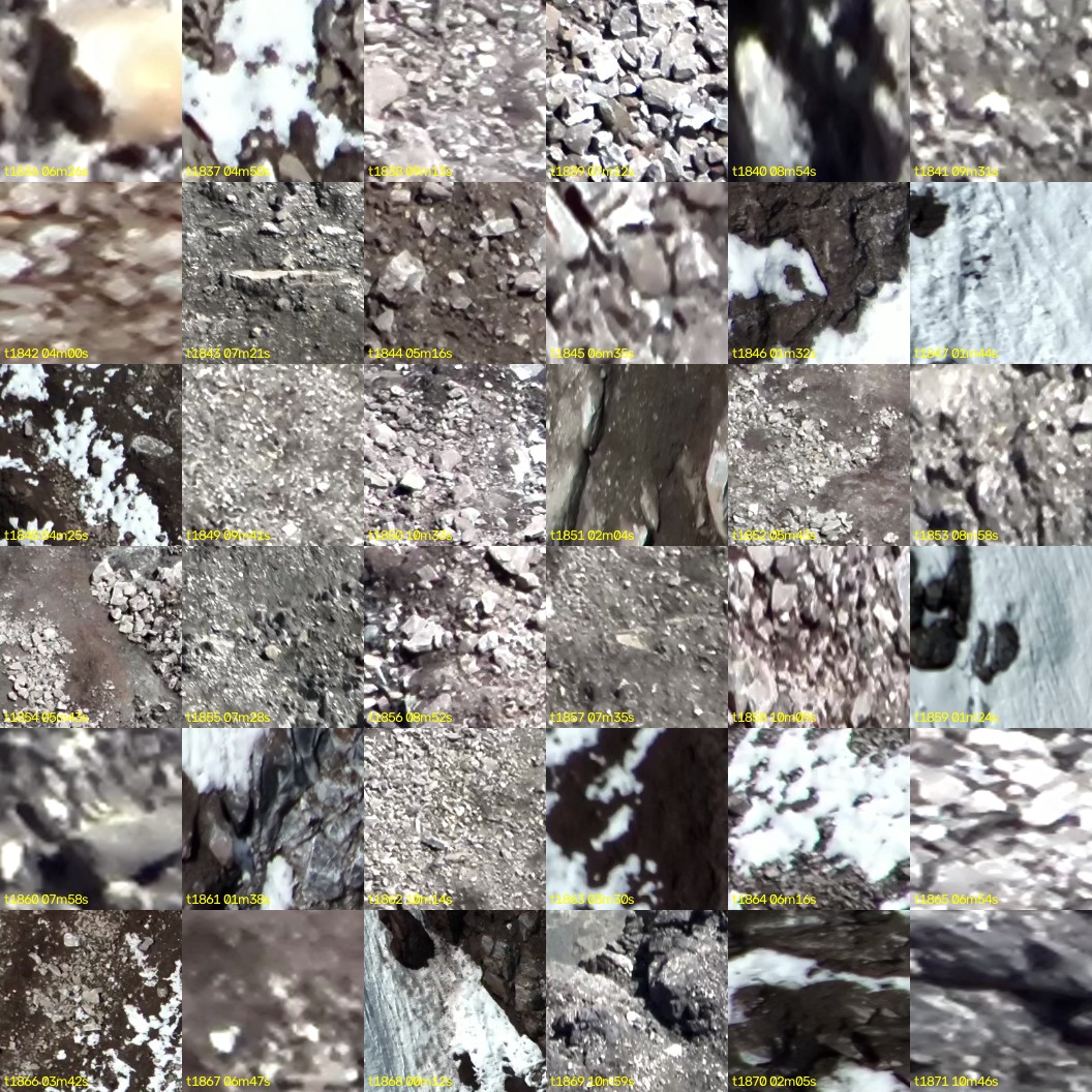 montage_51.jpg