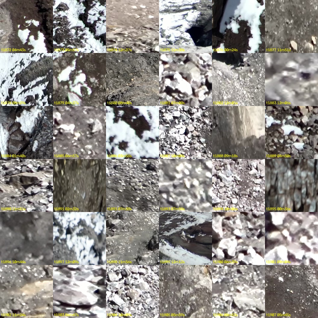 montage_52.jpg