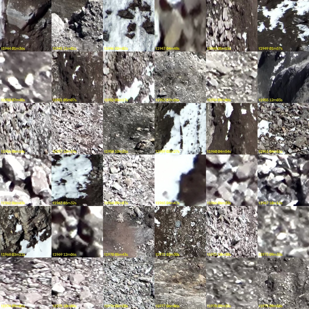 montage_54.jpg