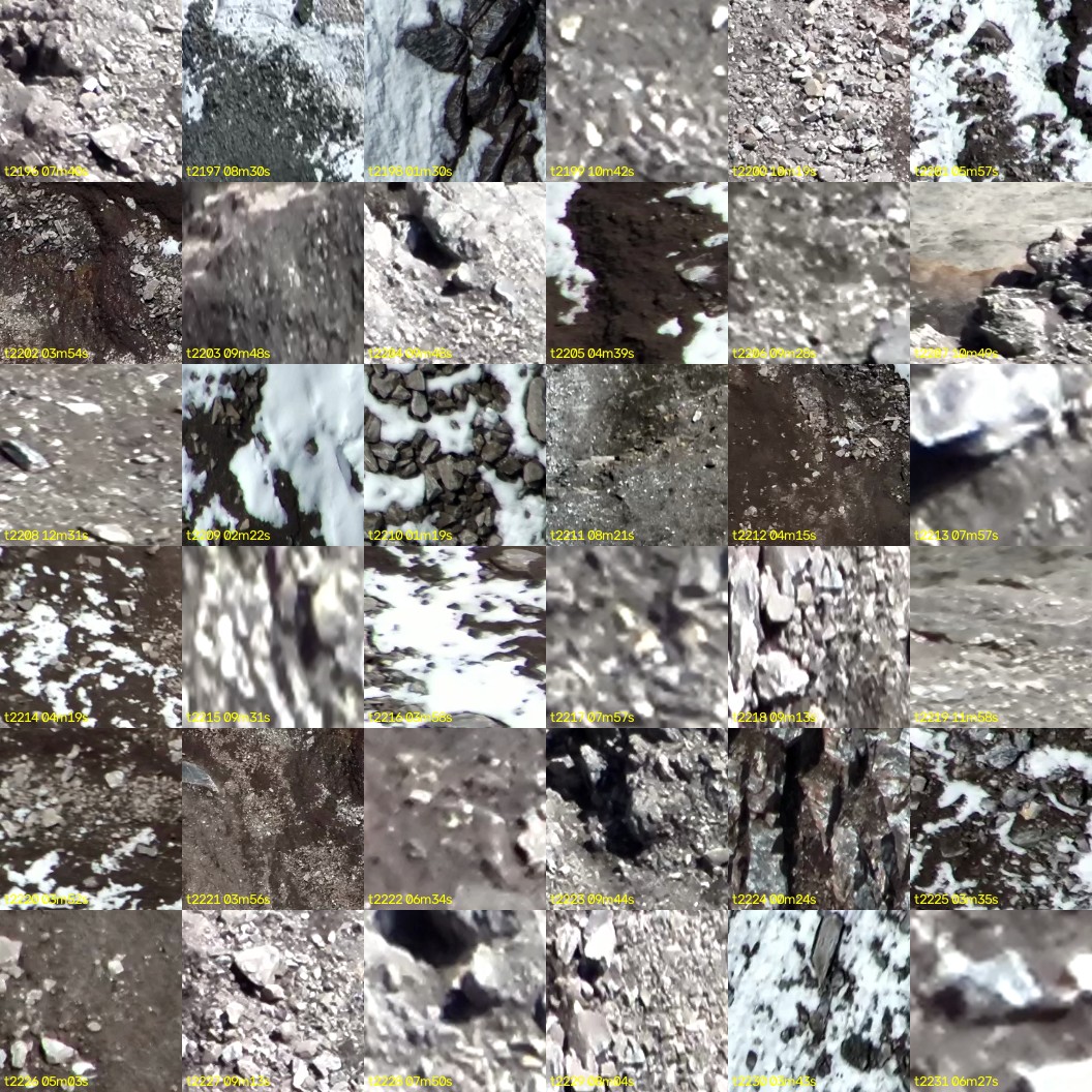 montage_61.jpg