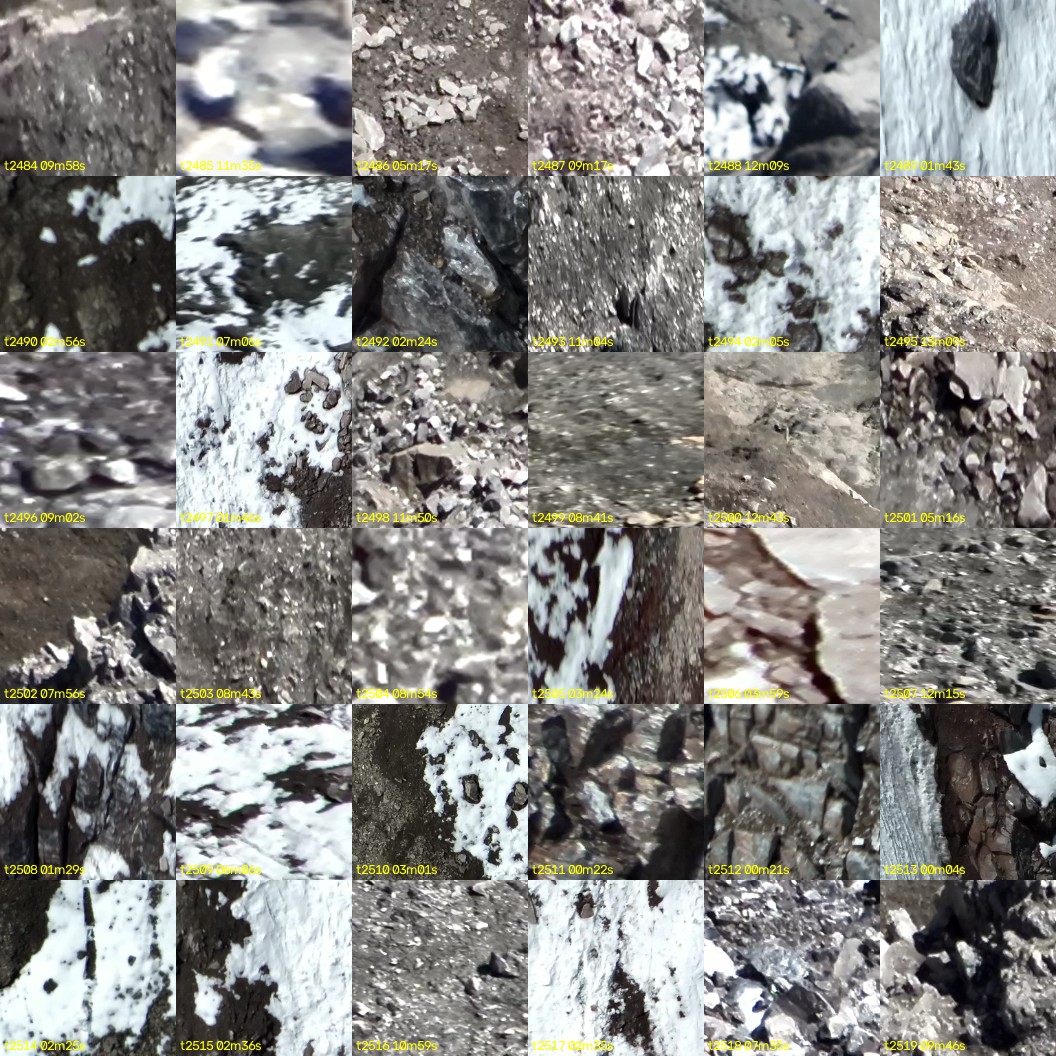 montage_69.jpg