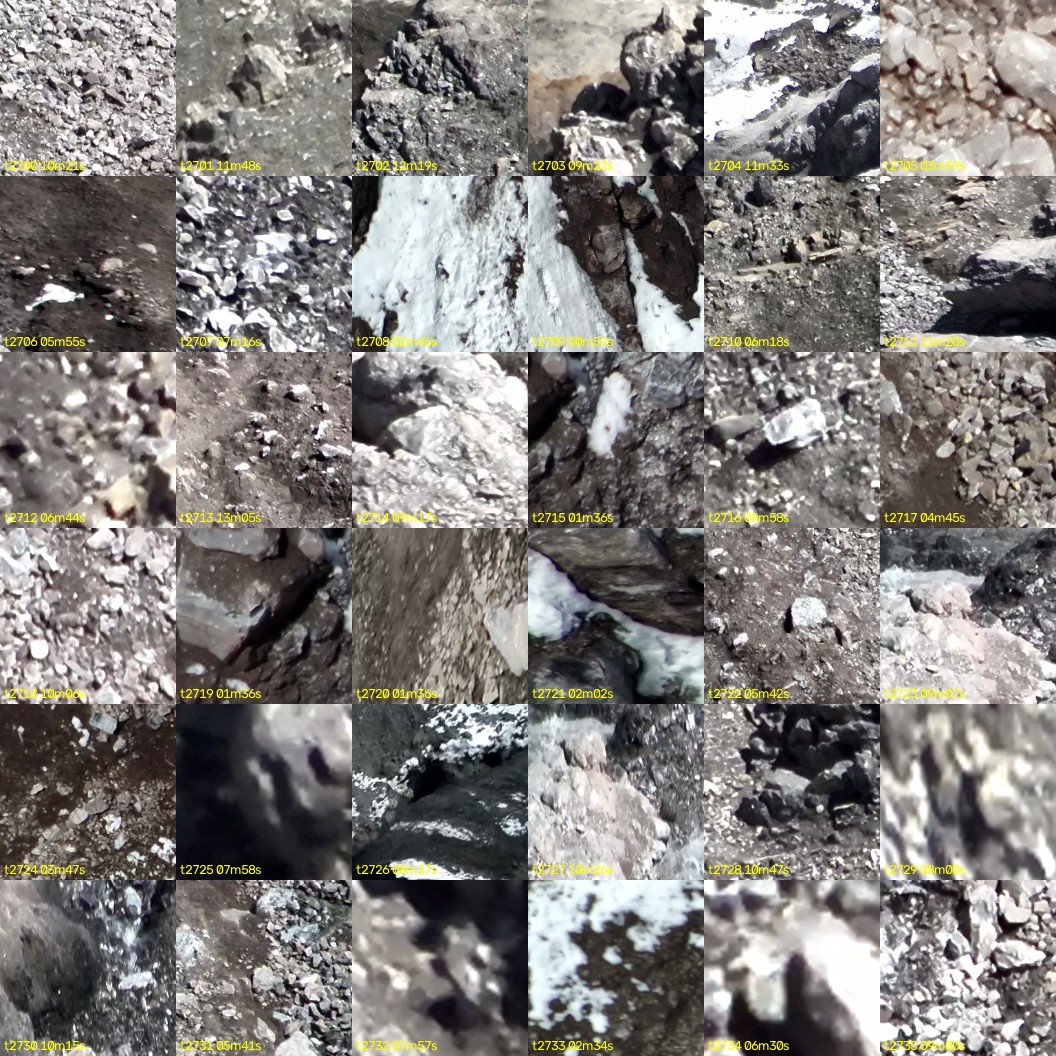 montage_75.jpg
