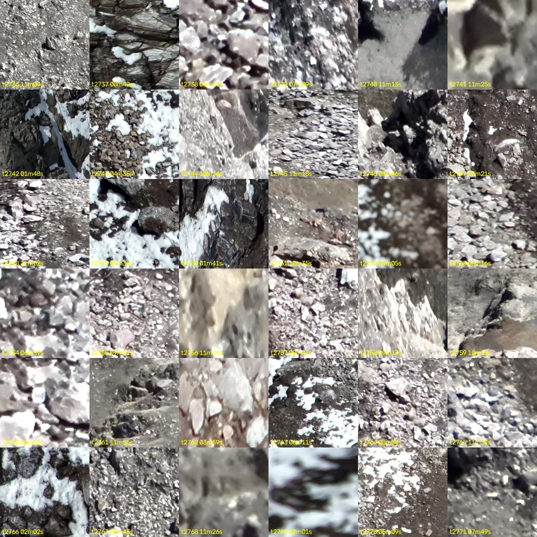 montage_76.jpg