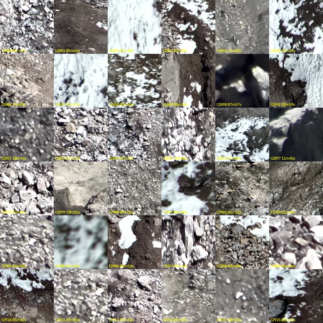 montage_80.jpg