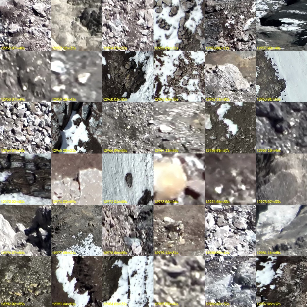 montage_82.jpg