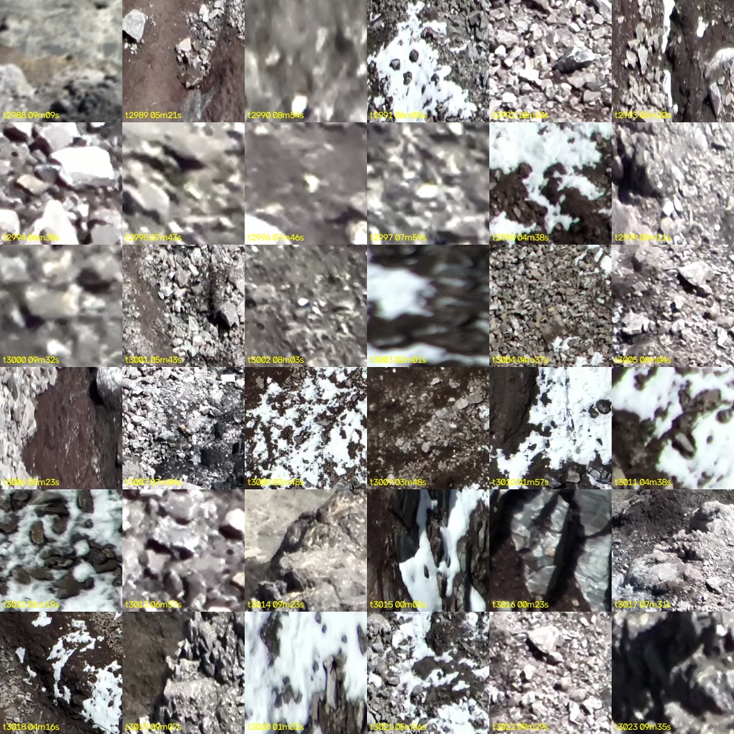 montage_83.jpg