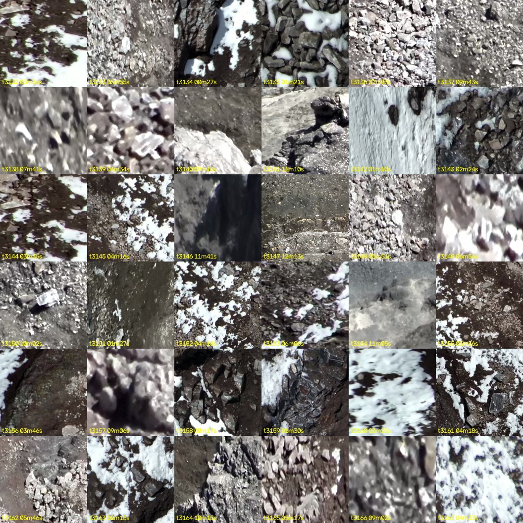 montage_87.jpg