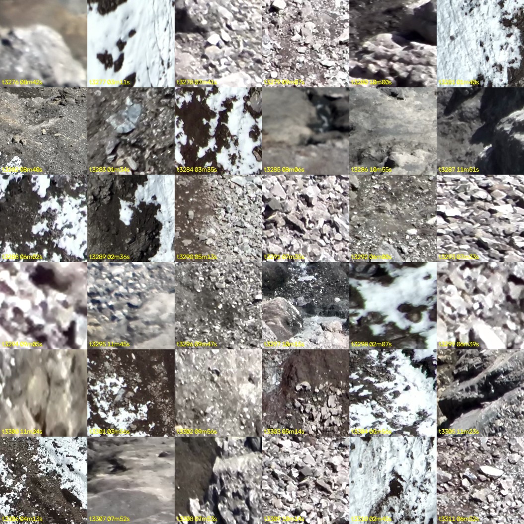 montage_91.jpg