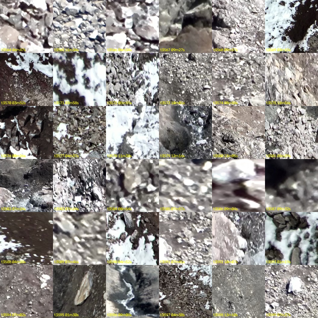 montage_99.jpg