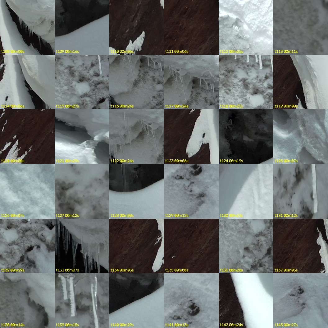 montage_03.jpg