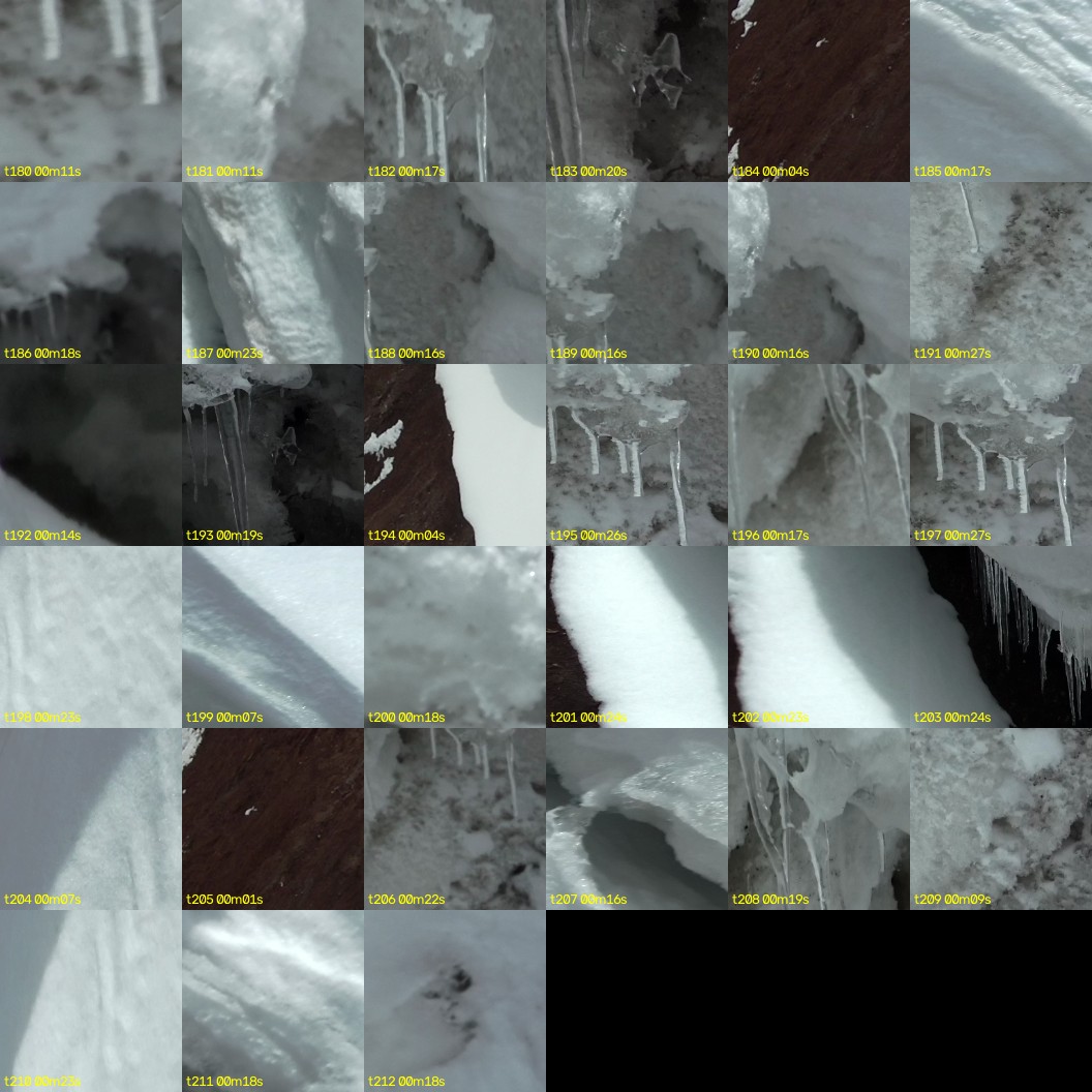 montage_05.jpg
