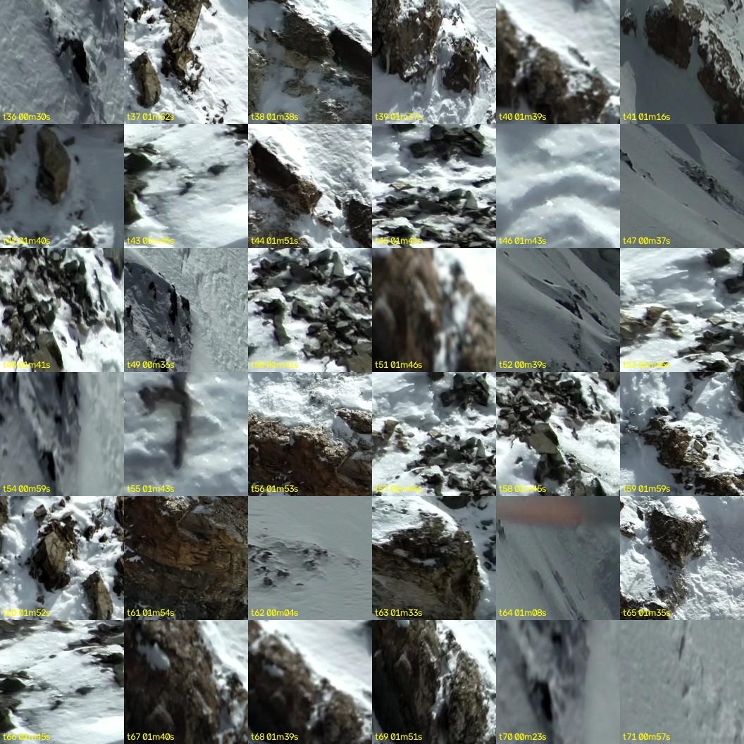 montage_01.jpg