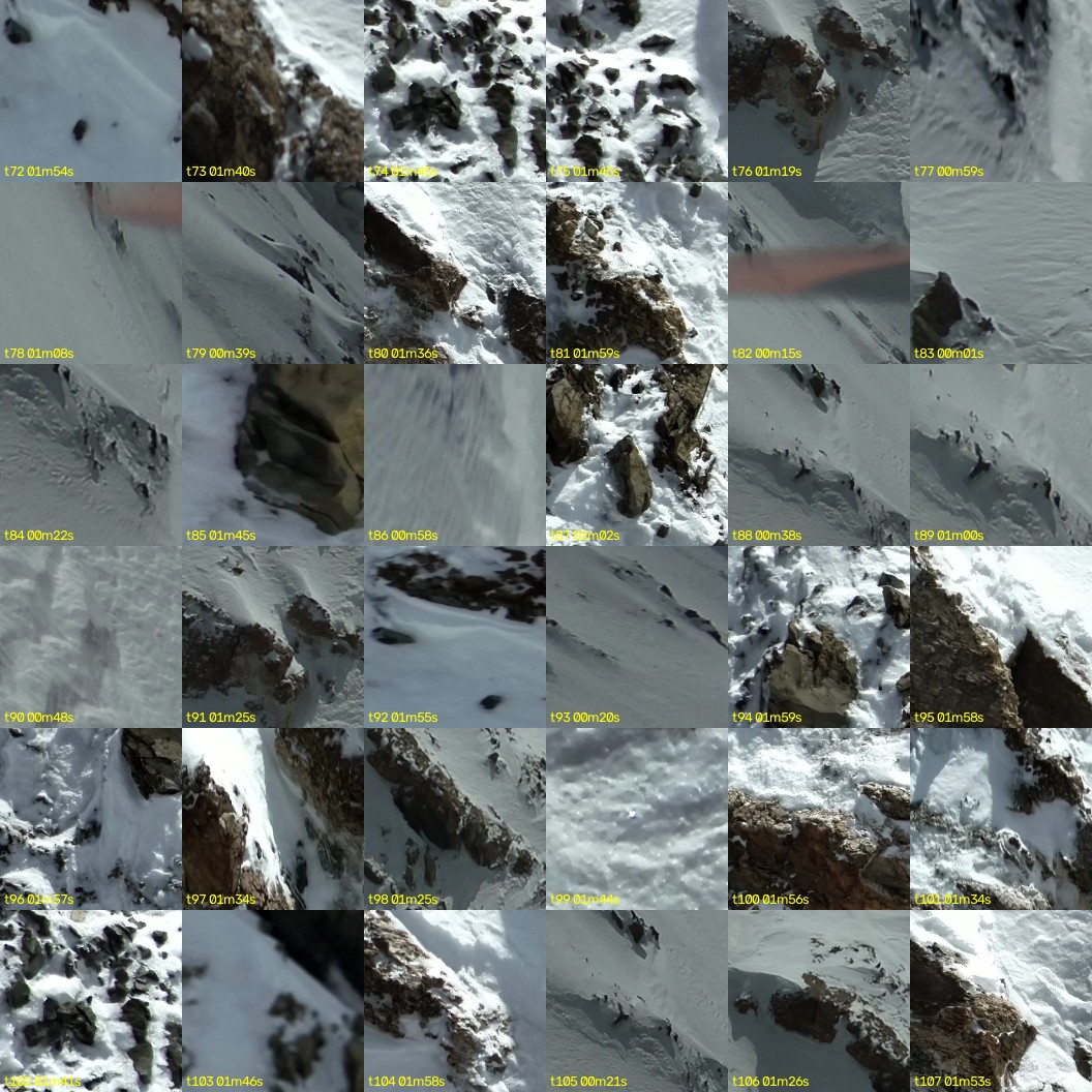 montage_02.jpg