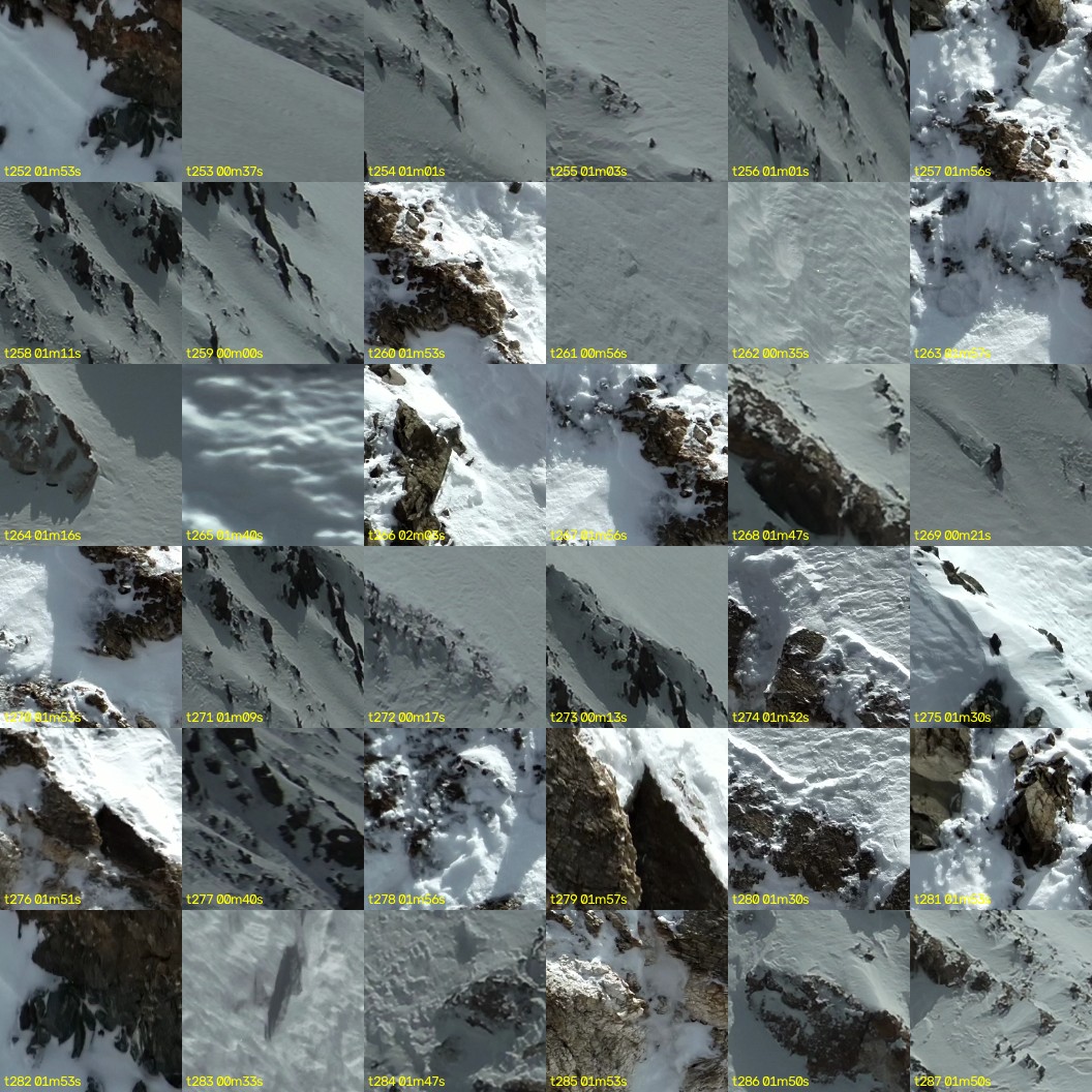 montage_07.jpg