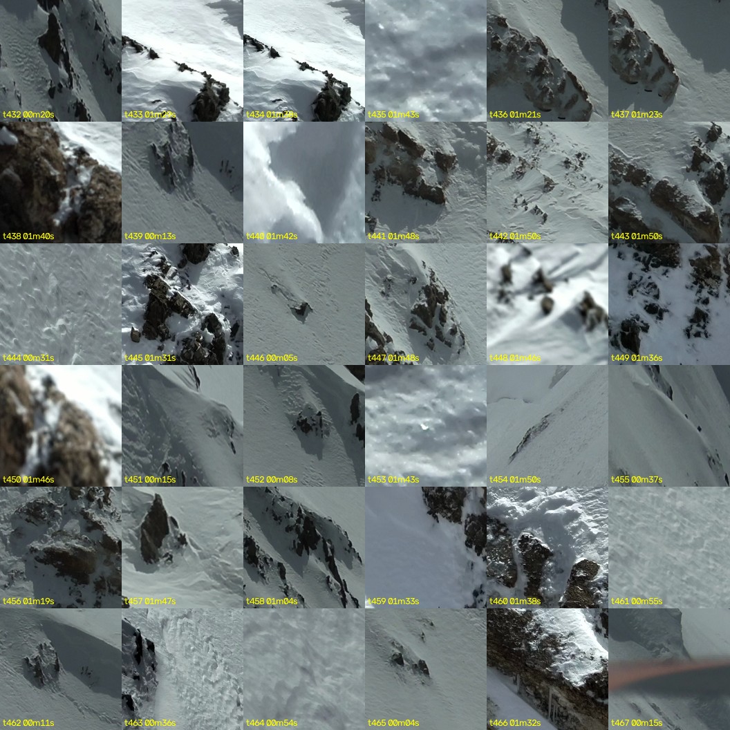 montage_12.jpg