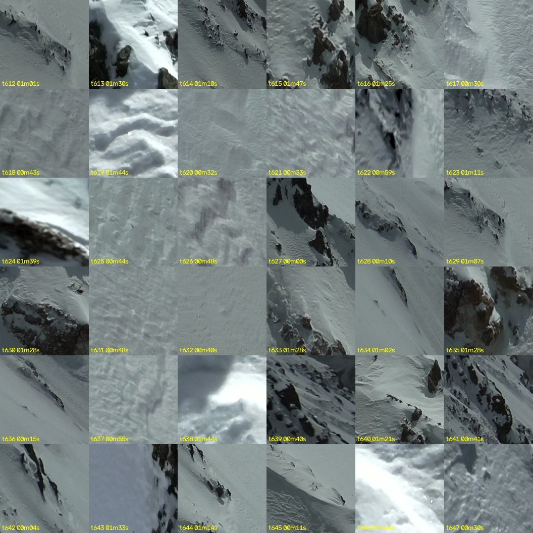 montage_17.jpg