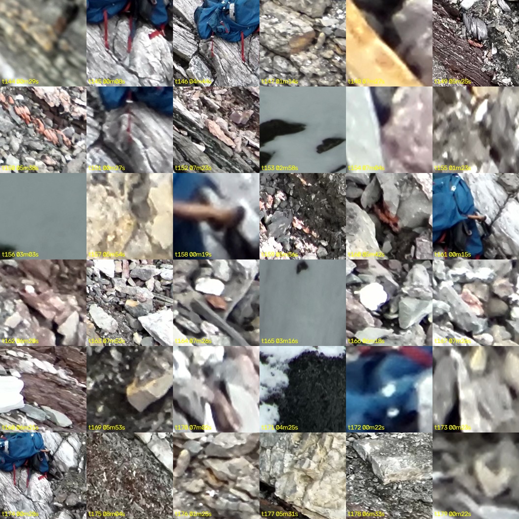 montage_04.jpg
