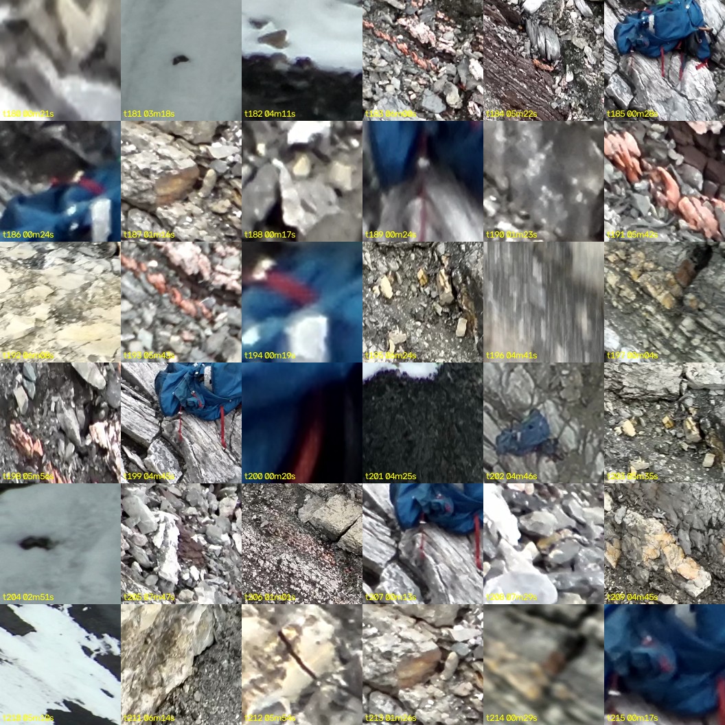 montage_05.jpg