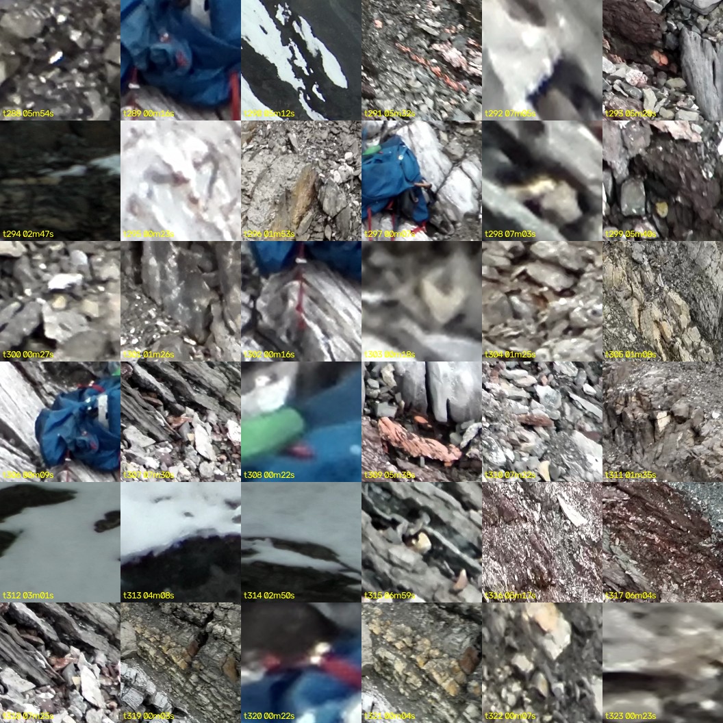 montage_08.jpg